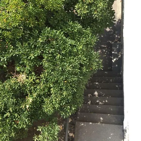 Appartement Zadar-city