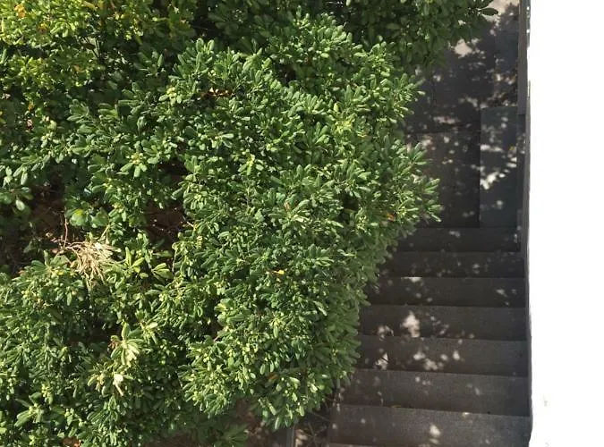 Апартаменты Zadar-city